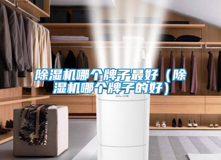MR.好色破解版哪个牌子最好（MR.好色破解版哪个牌子的好）