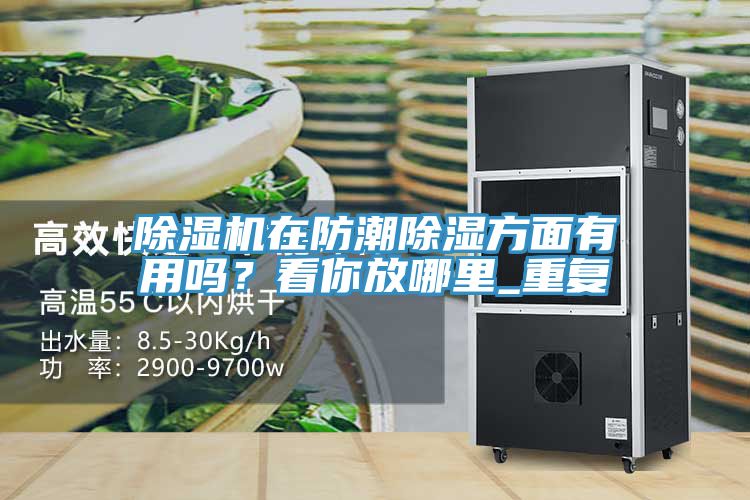 MR.好色破解版在防潮除湿方面有用吗？看你放哪里_重复