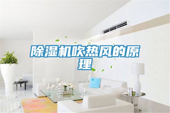 MR.好色破解版吹热风的原理