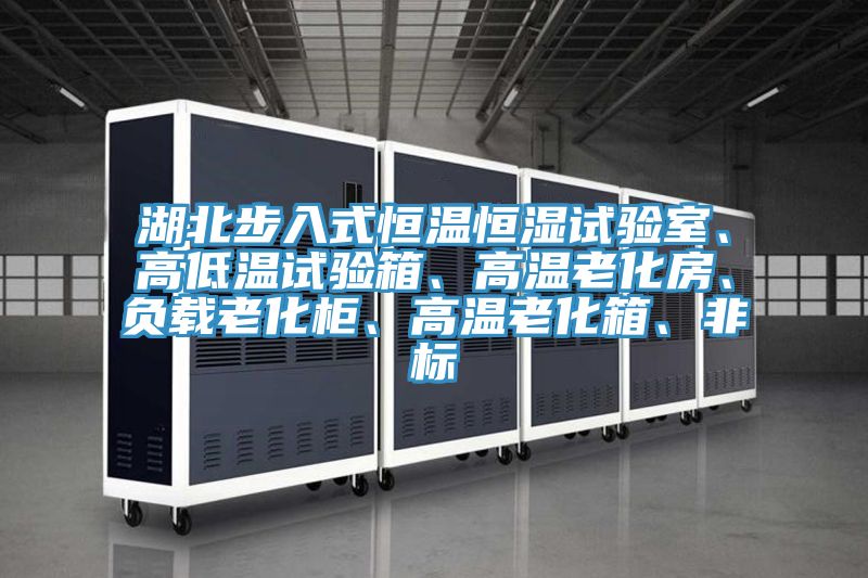 湖北步入式恒温恒湿试验室、高低温试验箱、高温老化房、负载老化柜、高温老化箱、非标