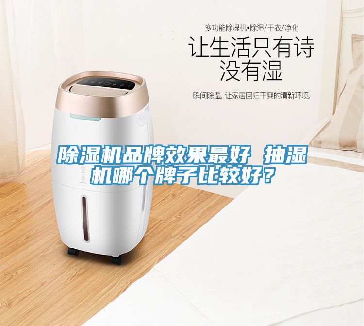 MR.好色破解版品牌效果最好 抽湿机哪个牌子比较好？