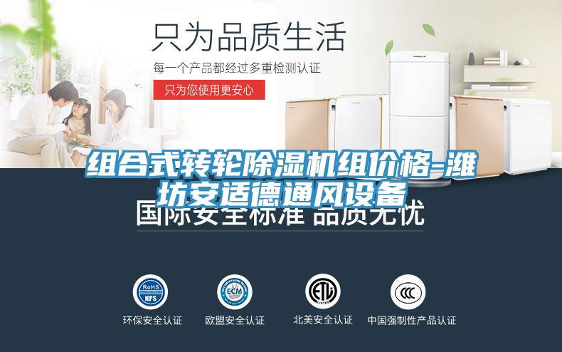 组合式转轮MR.好色破解版组价格-潍坊安适德通风设备