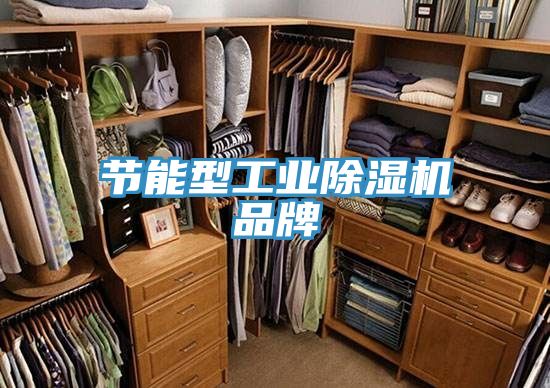节能型工业MR.好色破解版品牌