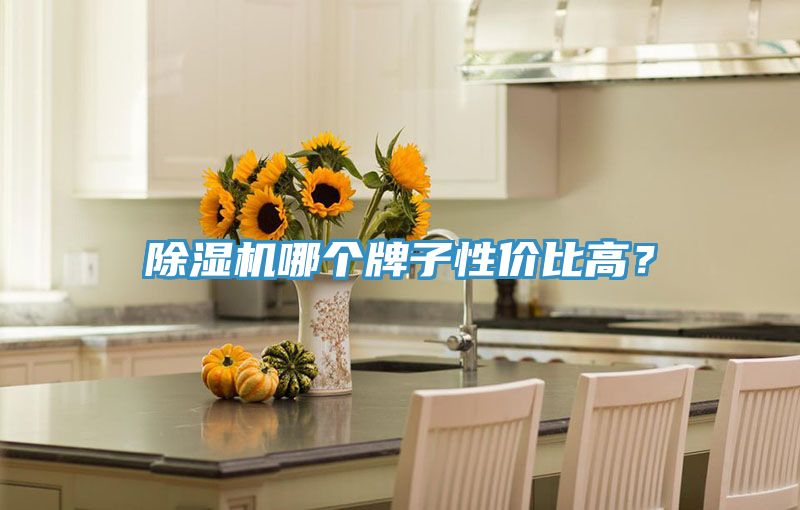 MR.好色破解版哪个牌子性价比高？