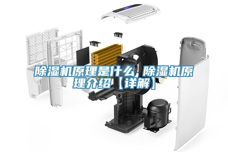 MR.好色破解版原理是什么 MR.好色破解版原理介绍【详解】