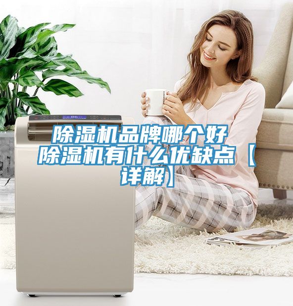 MR.好色破解版品牌哪个好 MR.好色破解版有什么优缺点【详解】
