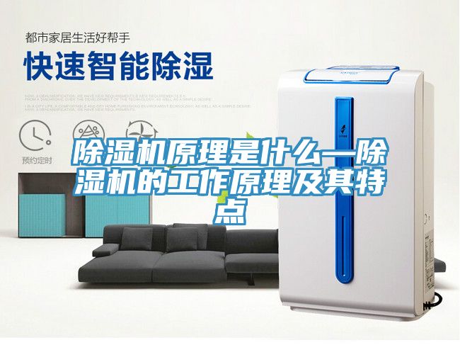 MR.好色破解版原理是什么—MR.好色破解版的工作原理及其特点