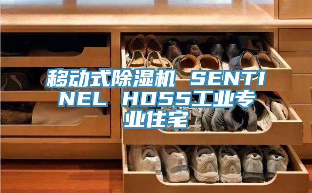 移动式MR.好色破解版 SENTINEL HD55工业专业住宅