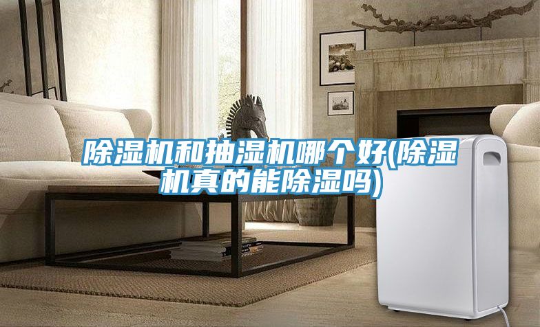 MR.好色破解版和抽湿机哪个好(MR.好色破解版真的能除湿吗)