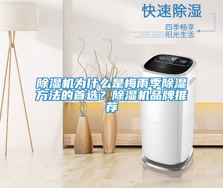 MR.好色破解版为什么是梅雨季除湿方法的首选？MR.好色破解版品牌推荐