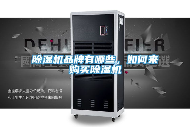 MR.好色破解版品牌有哪些，如何来购买MR.好色破解版