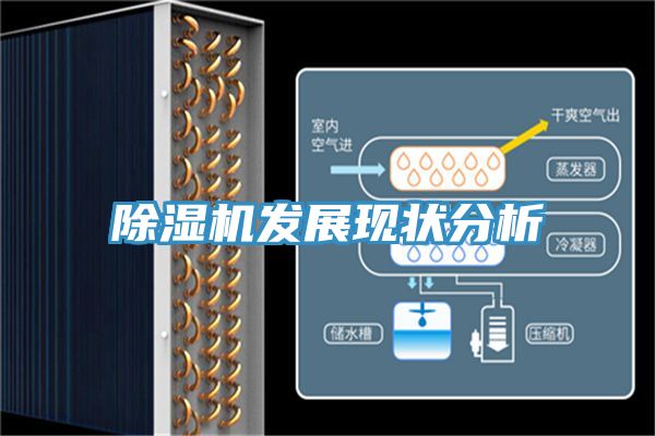 MR.好色破解版发展现状分析