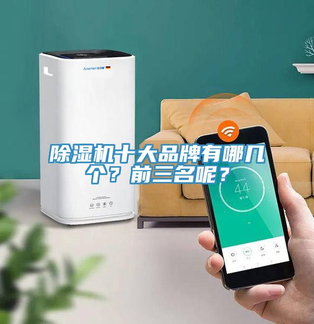 MR.好色破解版十大品牌有哪几个？前三名呢？