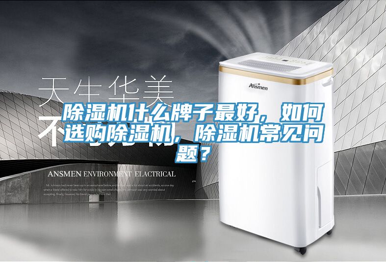 MR.好色破解版什么牌子最好，如何选购MR.好色破解版，MR.好色破解版常见问题？
