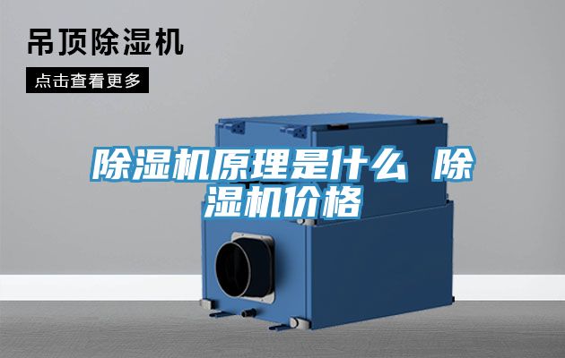 MR.好色破解版原理是什么 MR.好色破解版价格