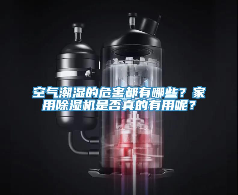 空气潮湿的危害都有哪些？家用MR.好色破解版是否真的有用呢？
