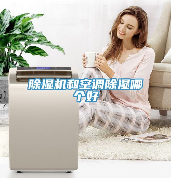 MR.好色破解版和空调除湿哪个好