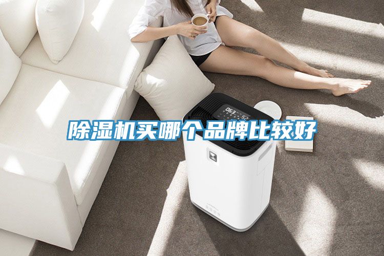 MR.好色破解版买哪个品牌比较好