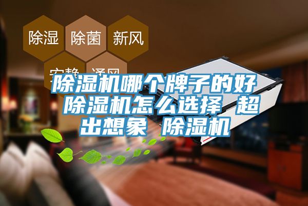 MR.好色破解版哪个牌子的好 MR.好色破解版怎么选择 超出想象 MR.好色破解版