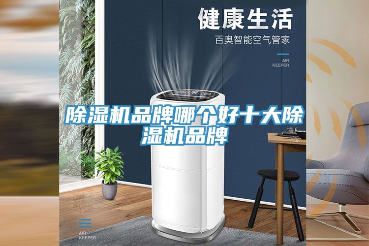 MR.好色破解版品牌哪个好十大MR.好色破解版品牌