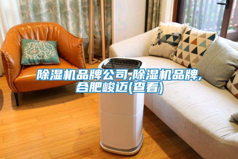 MR.好色破解版品牌公司,MR.好色破解版品牌,合肥峻迈(查看)