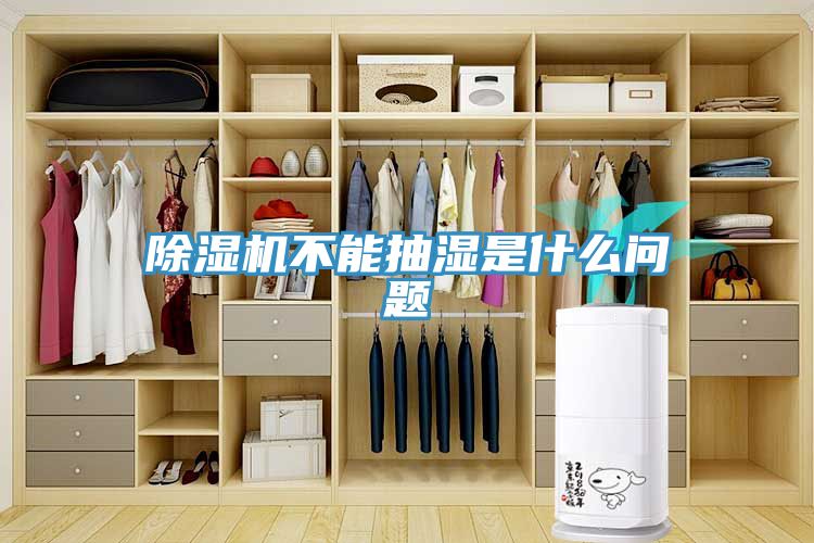 MR.好色破解版不能抽湿是什么问题
