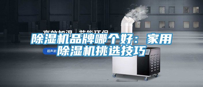 MR.好色破解版品牌哪个好：家用MR.好色破解版挑选技巧
