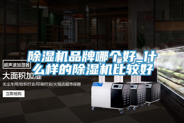 MR.好色破解版品牌哪个好_什么样的MR.好色破解版比较好