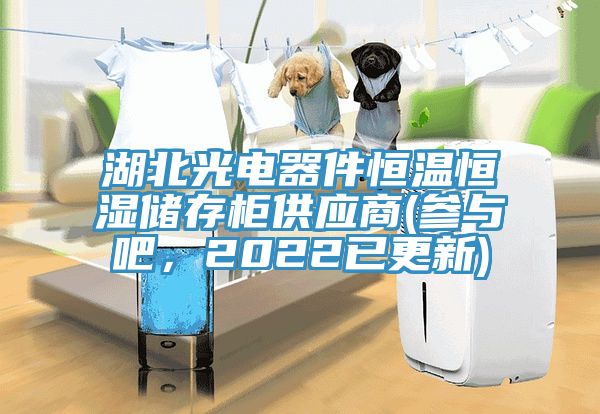 湖北光电器件恒温恒湿储存柜供应商(参与吧，2022已更新)