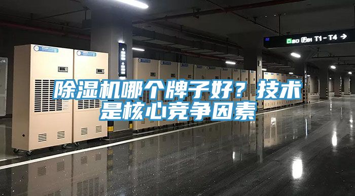 MR.好色破解版哪个牌子好？技术是核心竞争因素