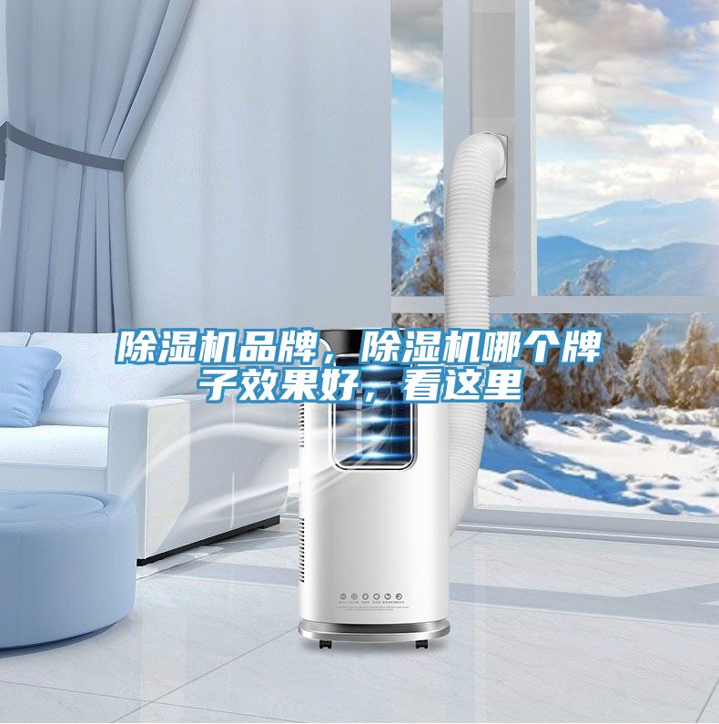 MR.好色破解版品牌，MR.好色破解版哪个牌子效果好，看这里