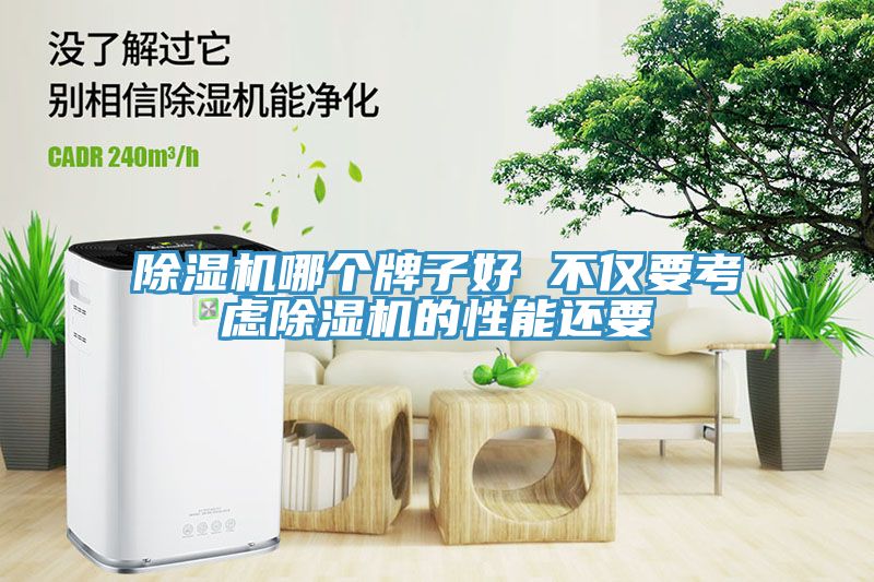 MR.好色破解版哪个牌子好 不仅要考虑MR.好色破解版的性能还要