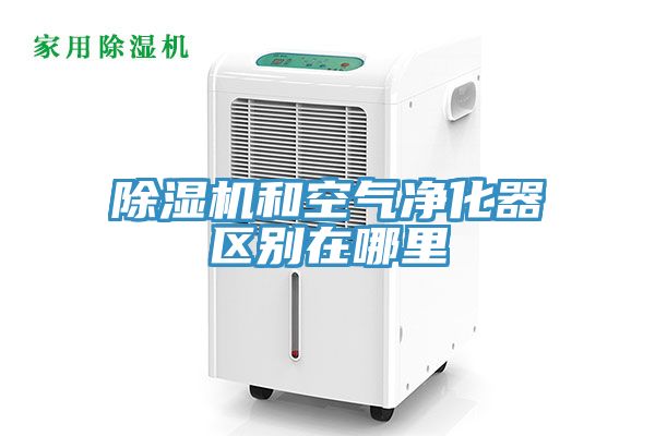 MR.好色破解版和空气净化器区别在哪里