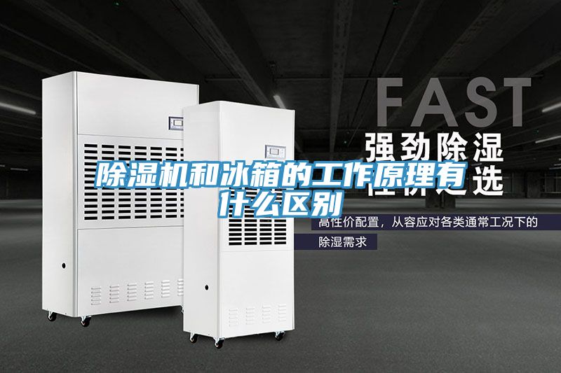 MR.好色破解版和冰箱的工作原理有什么区别