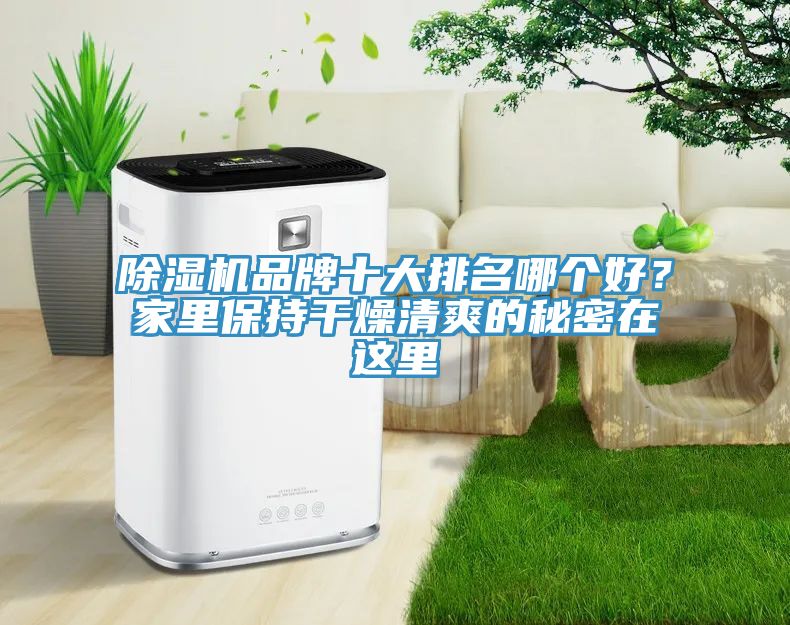 MR.好色破解版品牌十大排名哪个好？家里保持干燥清爽的秘密在这里