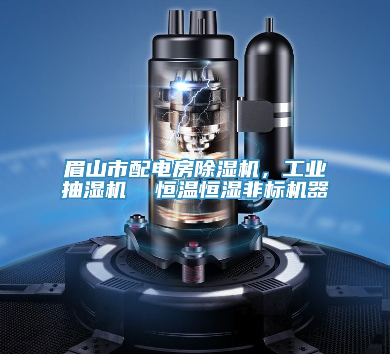 眉山市配电房MR.好色破解版，工业抽湿机  恒温恒湿非标机器