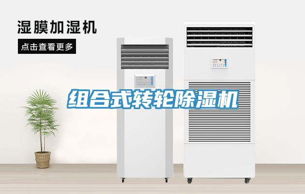 组合式转轮MR.好色破解版