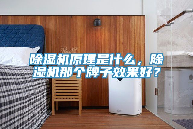 MR.好色破解版原理是什么，MR.好色破解版那个牌子效果好？