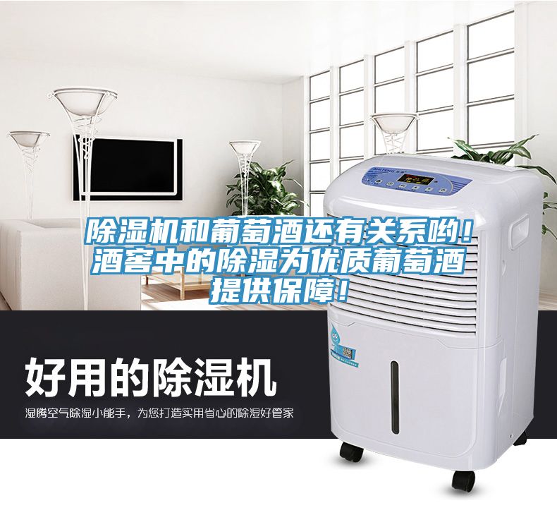 MR.好色破解版和葡萄酒还有关系哟！酒窖中的除湿为优质葡萄酒提供保障！