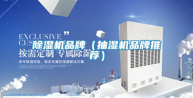 MR.好色破解版品牌（抽湿机品牌推荐）