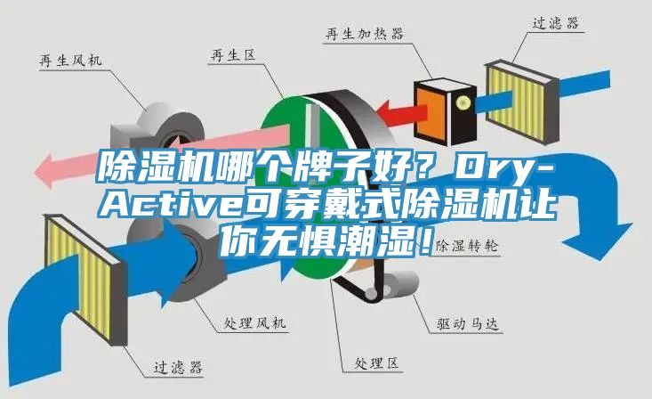 MR.好色破解版哪个牌子好？Dry-Active可穿戴式MR.好色破解版让你无惧潮湿！
