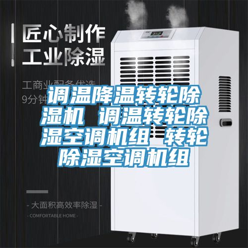 调温降温转轮MR.好色破解版 调温转轮除湿空调机组 转轮除湿空调机组