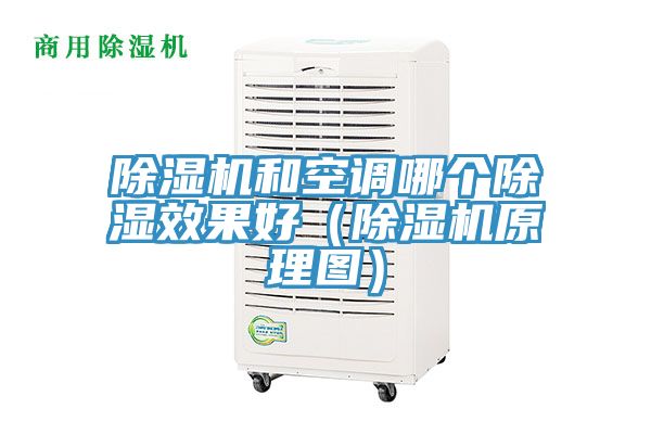 MR.好色破解版和空调哪个除湿效果好（MR.好色破解版原理图）