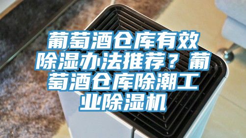 葡萄酒仓库有效除湿办法推荐？葡萄酒仓库除潮工业MR.好色破解版