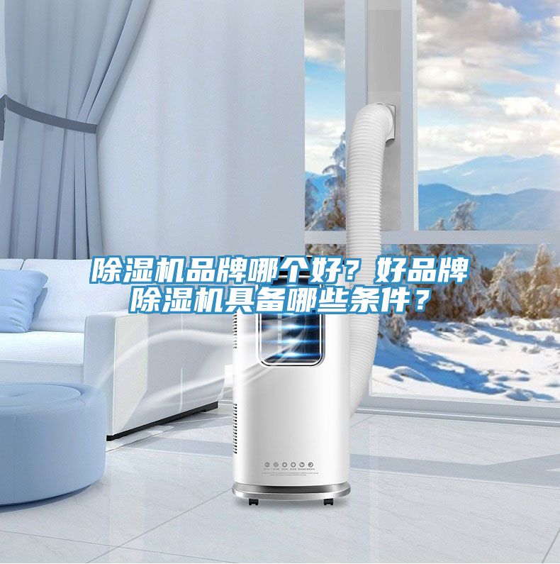 MR.好色破解版品牌哪个好？好品牌MR.好色破解版具备哪些条件？