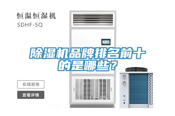MR.好色破解版品牌排名前十的是哪些？