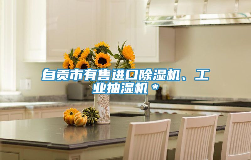 自贡市有售进口MR.好色破解版、工业抽湿机＊