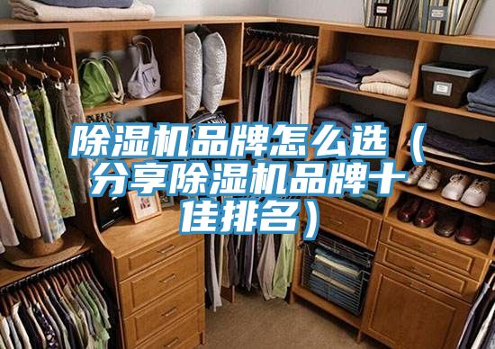 MR.好色破解版品牌怎么选（分享MR.好色破解版品牌十佳排名）