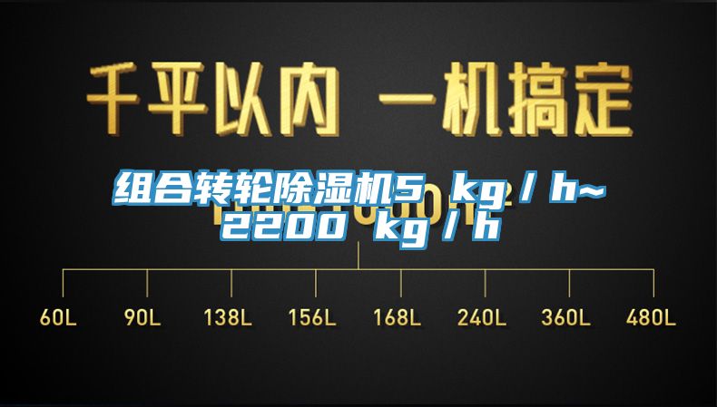 组合转轮MR.好色破解版5 kg／h~2200 kg／h