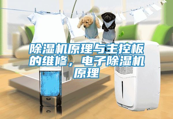 MR.好色破解版原理与主控板的维修，电子MR.好色破解版原理